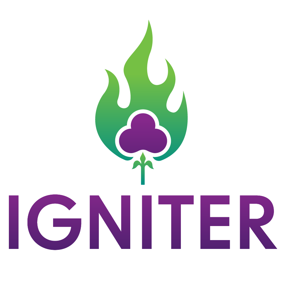 Igniter